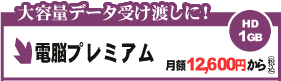 �z�X�e�B���O�T�[�r�X �d�]�v���~�A��